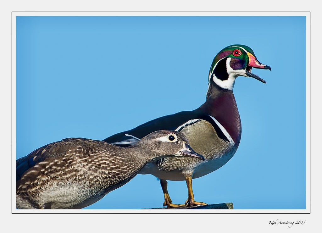 Courtesy Rich Armstrong, richarmstrongphotography.com